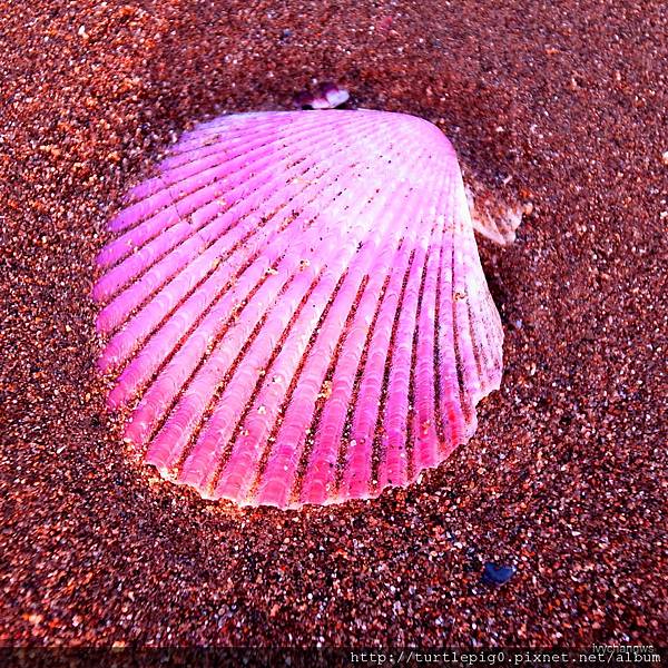 23-R0015811.JPG 23-R0015811.JPG