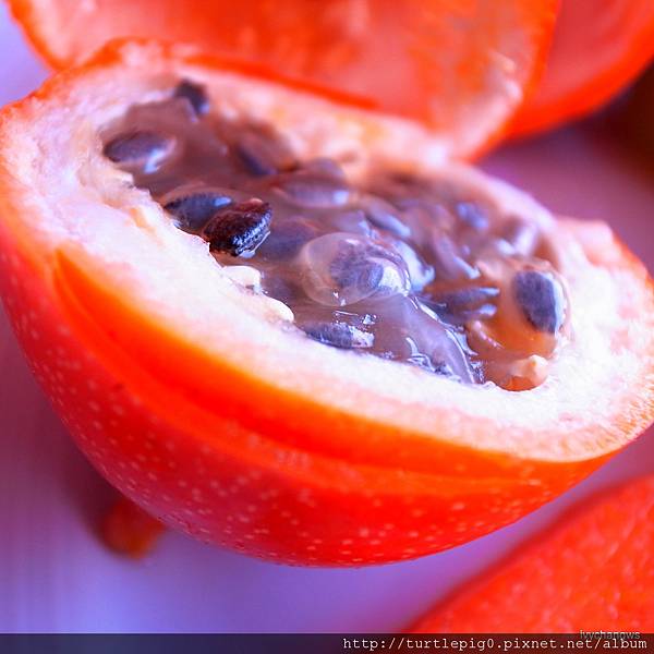 54-R0015821.JPG 54-R0015821.JPG