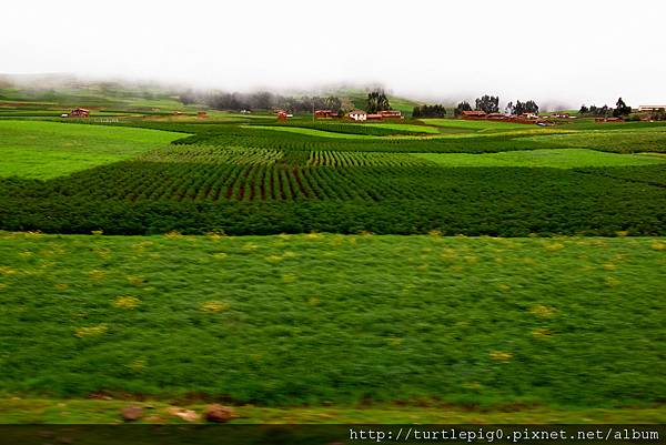 151-R0015916 151-R0015916