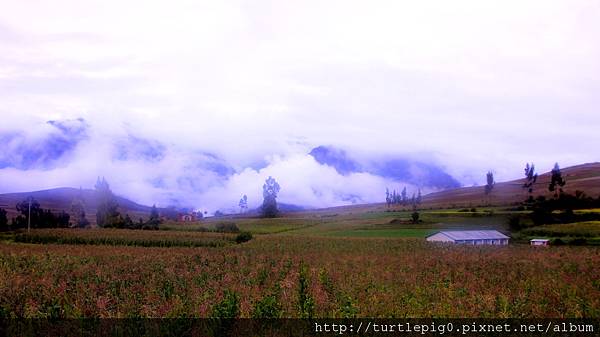 154-IMG_5774 154-IMG_5774