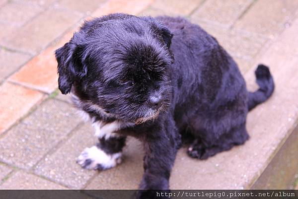 159-IMG_5785 159-IMG_5785