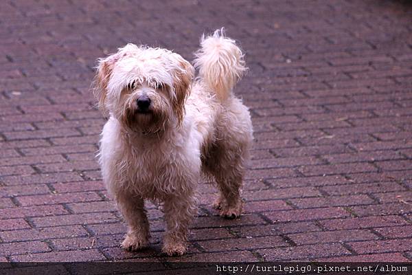 160-IMG_5793 160-IMG_5793