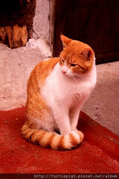 170-IMG_5796 170-IMG_5796