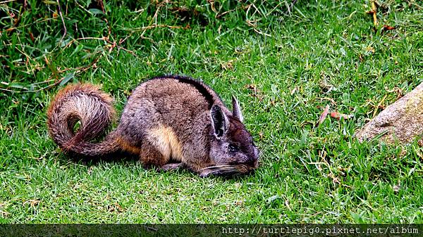 188-IMG_5906 188-IMG_5906