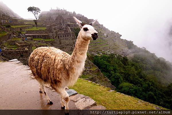 192-R0015957 192-R0015957