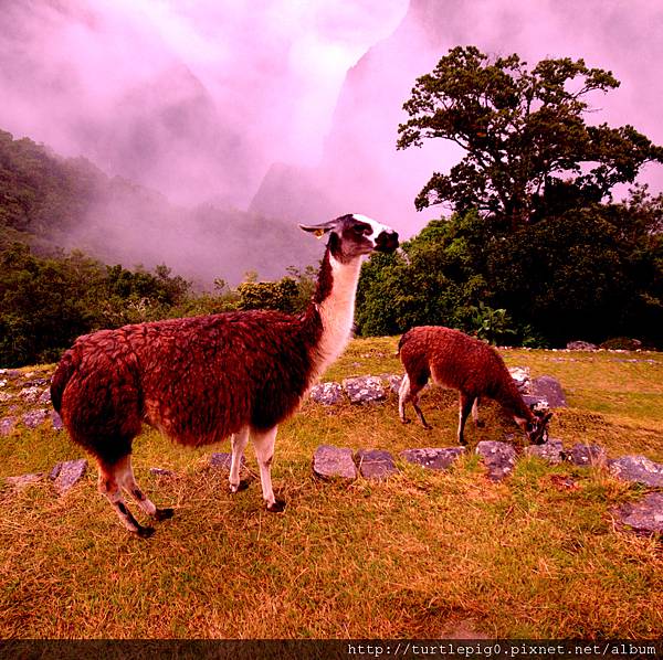 193-R0015959 193-R0015959