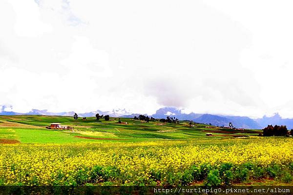 261-R0016096.JPG 261-R0016096.JPG