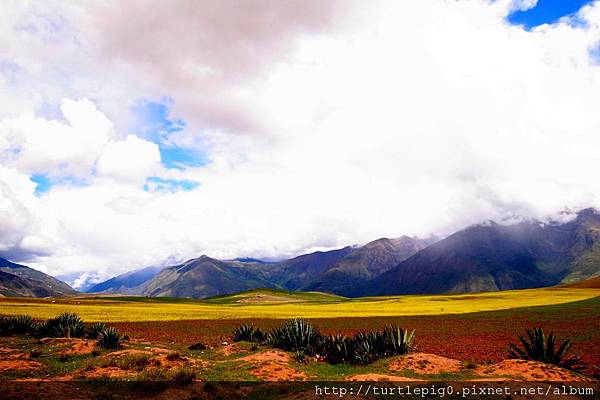 262-R0016114.JPG 262-R0016114.JPG