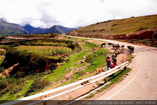 263-R0016118.JPG 263-R0016118.JPG