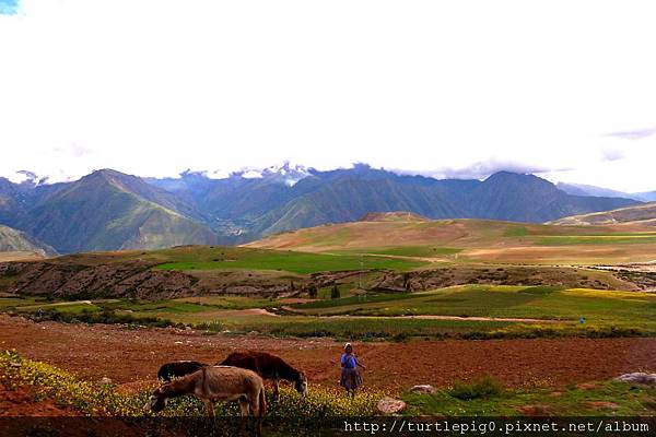 264-R0016122.JPG 264-R0016122.JPG