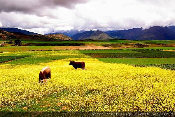 265-R0016133.JPG 265-R0016133.JPG