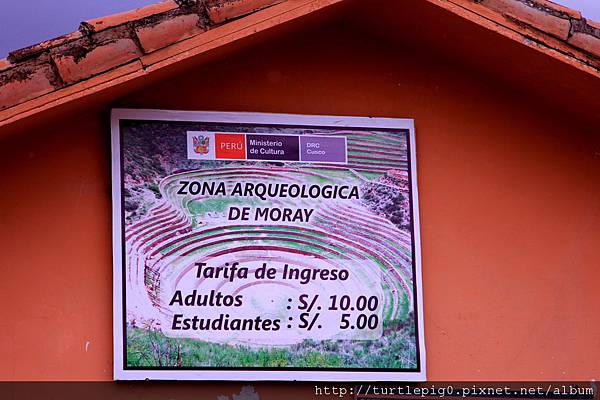 267-IMG_6172.JPG 267-IMG_6172.JPG