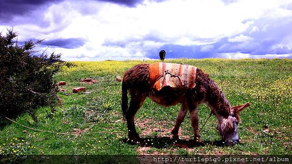 275-IMG_6241.JPG 275-IMG_6241.JPG