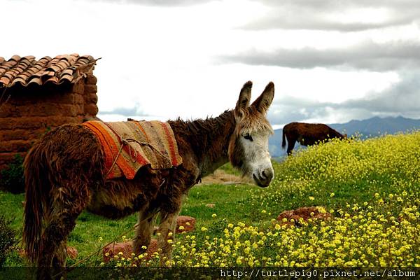 276-DSC_0868.JPG 276-DSC_0868.JPG