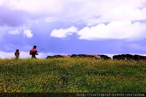 277-IMG_6254.JPG 277-IMG_6254.JPG