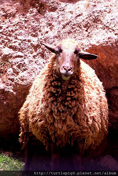 279-IMG_6270.JPG 279-IMG_6270.JPG