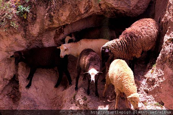 280-IMG_6271.JPG 280-IMG_6271.JPG