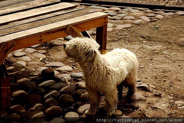 309-DSC_0956.JPG 309-DSC_0956.JPG