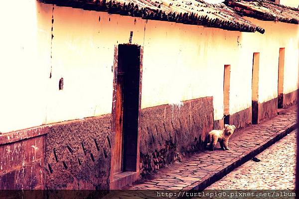 310-IMG_6525.JPG 310-IMG_6525.JPG