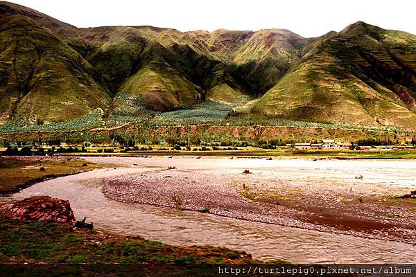 313-R0016196.JPG 313-R0016196.JPG