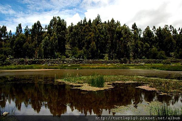 316-DSC_0961.JPG 316-DSC_0961.JPG