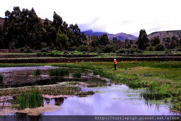 317-IMG_6544.JPG 317-IMG_6544.JPG