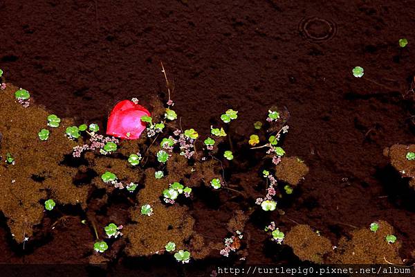 318-IMG_6545.JPG 318-IMG_6545.JPG