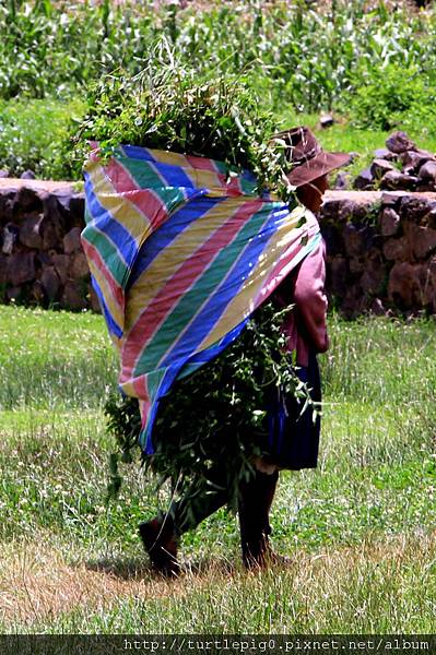 319-IMG_6549.JPG 319-IMG_6549.JPG