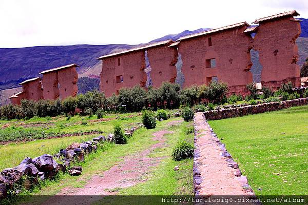 321-IMG_6557.JPG 321-IMG_6557.JPG