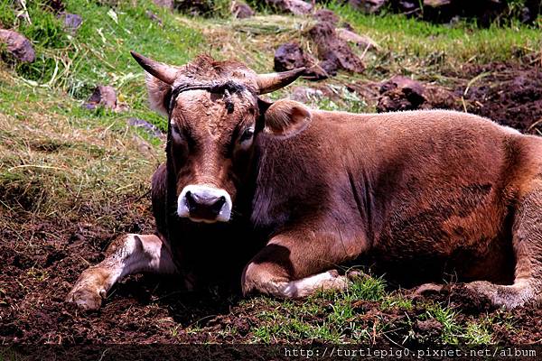 322-IMG_6564.JPG 322-IMG_6564.JPG