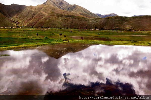 330-R0016224.JPG 330-R0016224.JPG