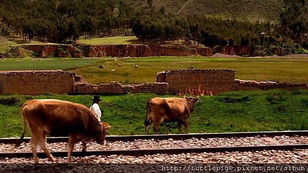 331-R0016227.JPG 331-R0016227.JPG