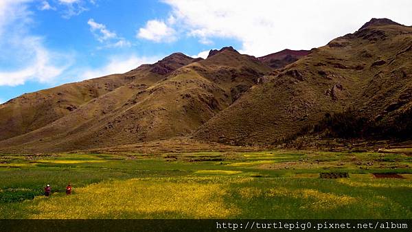 333-R0016229.JPG 333-R0016229.JPG