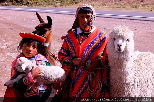 336-IMG_6621.JPG 336-IMG_6621.JPG