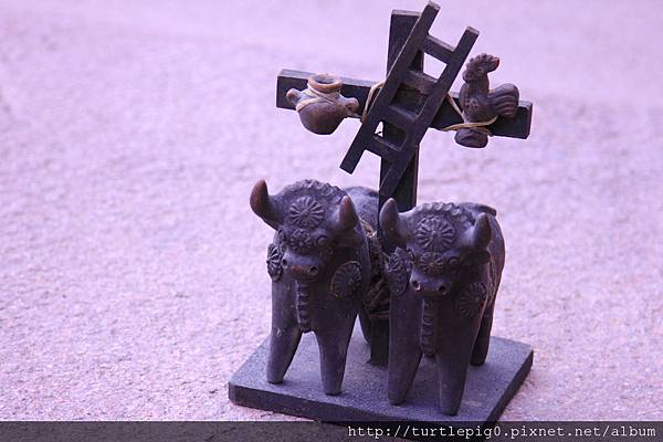 IMG_6390.JPG IMG_6390.JPG