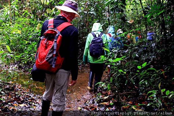 542-IMG_7307.JPG 542-IMG_7307.JPG