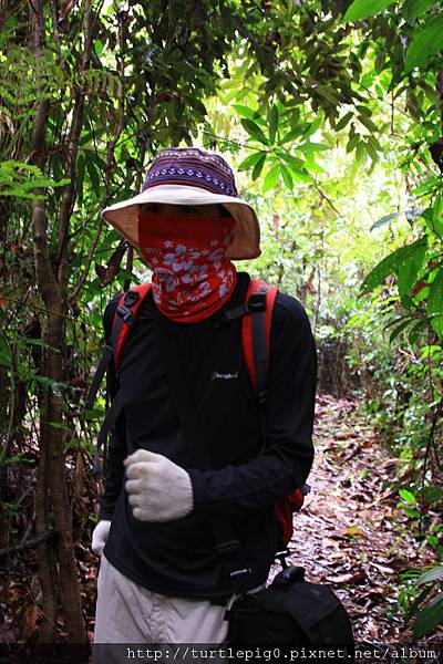 543-IMG_7310.JPG 543-IMG_7310.JPG