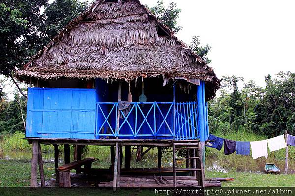 556-IMG_7347.JPG 556-IMG_7347.JPG