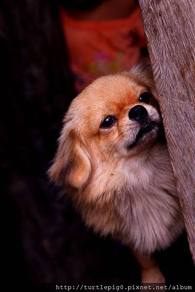 557-IMG_7350.JPG 557-IMG_7350.JPG