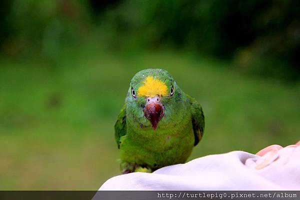 564-IMG_7369.JPG 564-IMG_7369.JPG