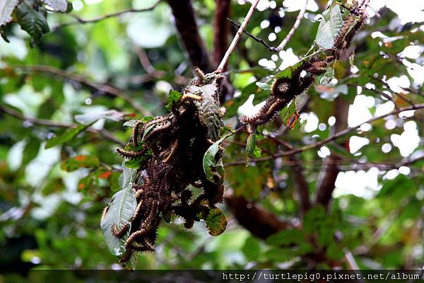 565-IMG_7386.JPG 565-IMG_7386.JPG