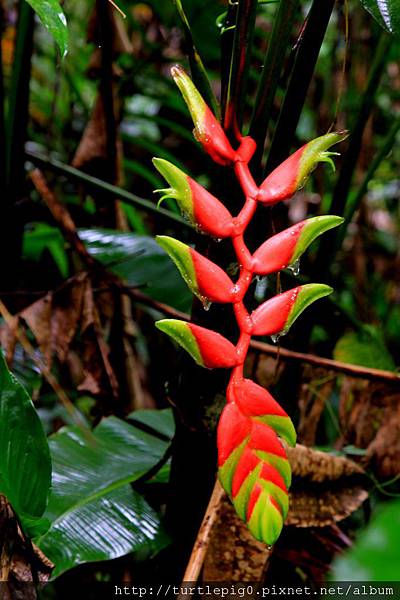 567-IMG_7392.JPG 567-IMG_7392.JPG