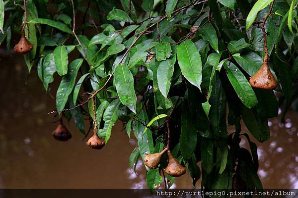 568-IMG_7395.JPG 568-IMG_7395.JPG