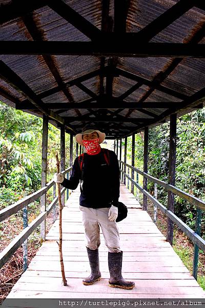 569-IMG_7396.JPG 569-IMG_7396.JPG