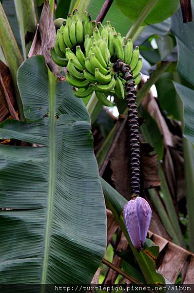 570-IMG_7400.JPG 570-IMG_7400.JPG