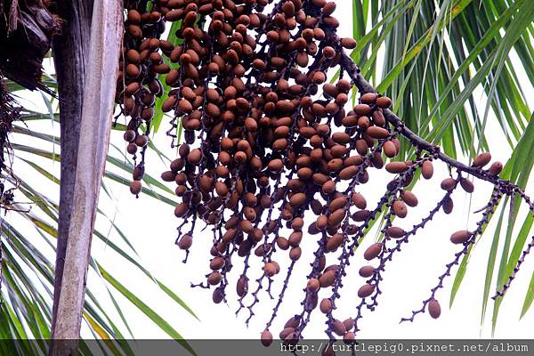 571-IMG_7402.JPG 571-IMG_7402.JPG