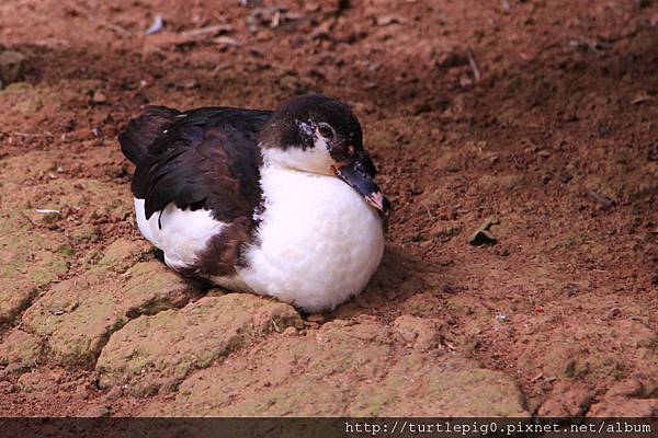 576-IMG_7414.JPG 576-IMG_7414.JPG