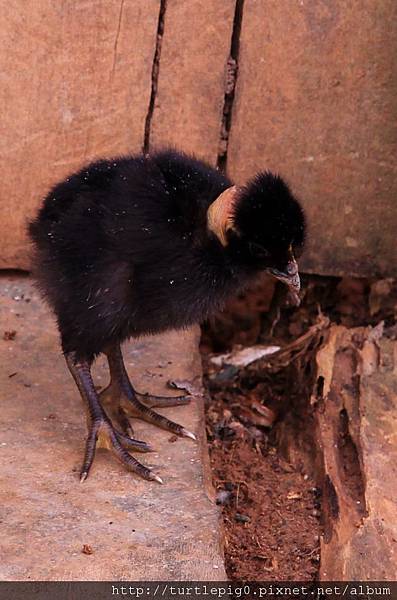 582-IMG_7438.JPG 582-IMG_7438.JPG