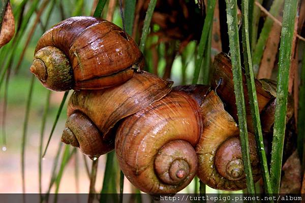 585-IMG_7470.JPG 585-IMG_7470.JPG