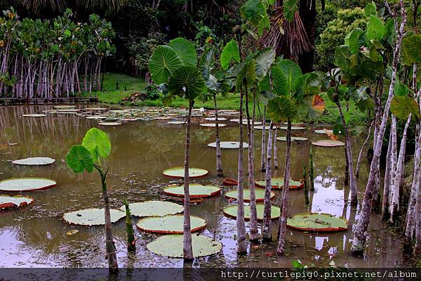 590-IMG_7501.JPG 590-IMG_7501.JPG